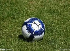 澳女篮激战,正酣,昨夜,bet365,bet365体育,bet365官网,bet365网址