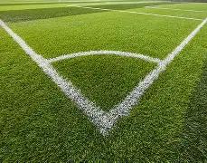 意甲新帅斯,帕莱蒂率队,首秀,bet365,bet365体育,bet365官网,bet365网址