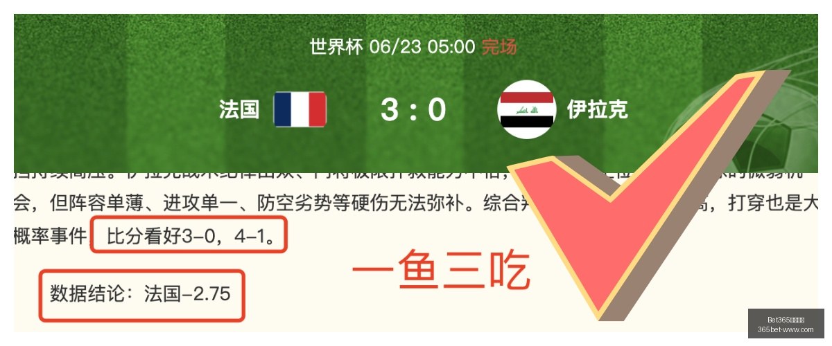 年深度解析,葡萄牙战意,高涨,Bet365最新网址,Bet365优惠,Bet365价格对比,Bet365备用链接,Bet365最新动态